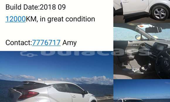 Buy Used Toyota C-HR White Car in Suva in Central Buy Used Toyota C-HR White Car in Suva in Central