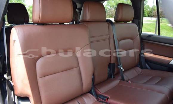 Buy Used Toyota Land Cruiser Black Car in Deuba in Central Buy Used Toyota Land Cruiser Black Car in Deuba in Central