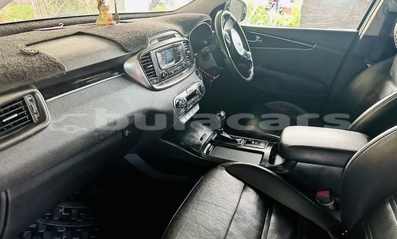 Buy Used Kia Sorrento Other Car in Suva in Central Buy Used Kia Sorrento Other Car in Suva in Central