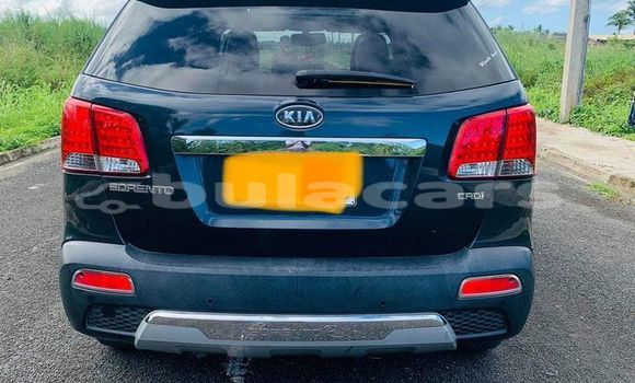 Acheter Occasion Voiture Kia Sorento Noir à Suva, Central