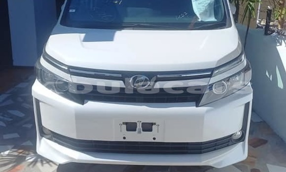 Buy Used Toyota Voxy White Car in Nadi in Western