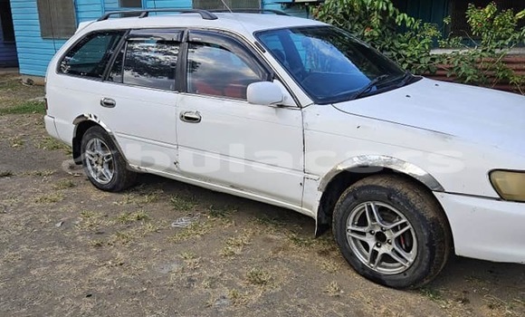 Acheter Occasion Voiture Toyota Corolla Blanc à Suva, Central Acheter Occasion Voiture Toyota Corolla Blanc à Suva, Central