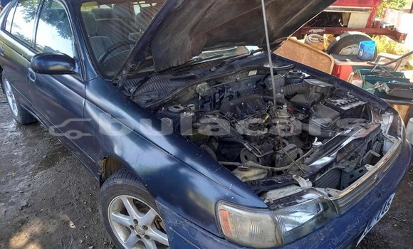Acheter Occasion Voiture Toyota Corolla Bleu à Suva, Central Acheter Occasion Voiture Toyota Corolla Bleu à Suva, Central