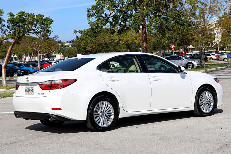 Big with watermark post id 16057 mblmb