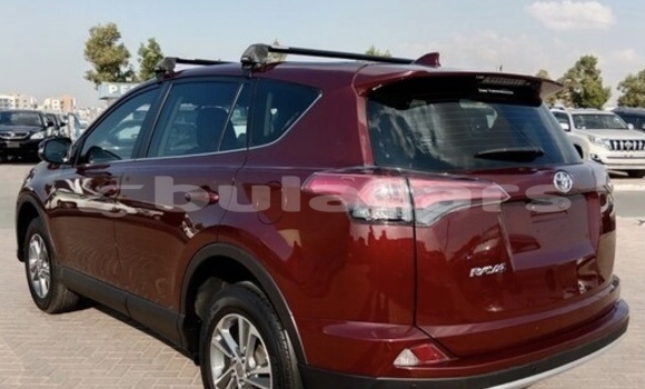 Buy Used Toyota RAV4 Red Car in Korovou in Central Buy Used Toyota RAV4 Red Car in Korovou in Central