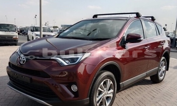 Buy Used Toyota RAV4 Red Car in Suva in Central Buy Used Toyota RAV4 Red Car in Suva in Central