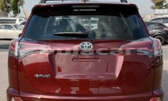 Buy Used Toyota RAV4 Red Car in Suva in Central Buy Used Toyota RAV4 Red Car in Suva in Central
