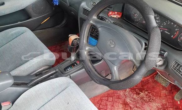 Buy Used Toyota Marino Other Car in Korovou in Central Buy Used Toyota Marino Other Car in Korovou in Central