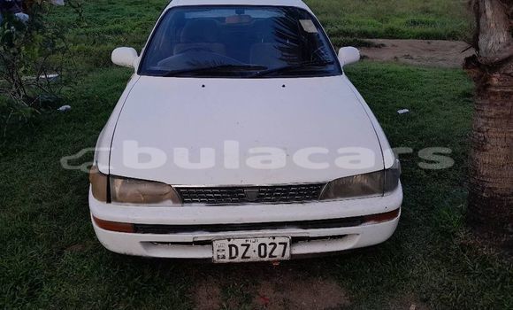 Buy Used Toyota Corolla White Car in Korovou in Central Buy Used Toyota Corolla White Car in Korovou in Central
