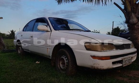 Buy Used Toyota Corolla White Car in Korovou in Central Buy Used Toyota Corolla White Car in Korovou in Central