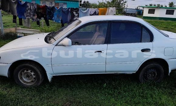 Buy Used Toyota Corolla White Car in Korovou in Central Buy Used Toyota Corolla White Car in Korovou in Central