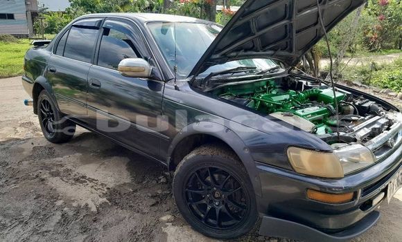 Buy Used Toyota Corolla Other Car in Korovou in Central Buy Used Toyota Corolla Other Car in Korovou in Central