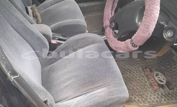 Buy Used Toyota Corolla Other Car in Korovou in Central Buy Used Toyota Corolla Other Car in Korovou in Central