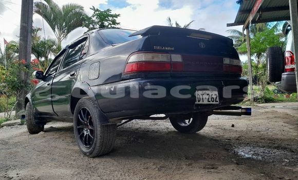 Buy Used Toyota Corolla Other Car in Korovou in Central Buy Used Toyota Corolla Other Car in Korovou in Central