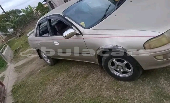 Buy Used Toyota Carina Beige Car in Sigatoka in Western Buy Used Toyota Carina Beige Car in Sigatoka in Western