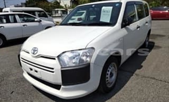 Buy Used Toyota Probox White Car in Korokade in Northern