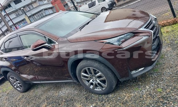 Acheter Occasion Voiture Lexus NX Autre à Korovou, Central Acheter Occasion Voiture Lexus NX Autre à Korovou, Central