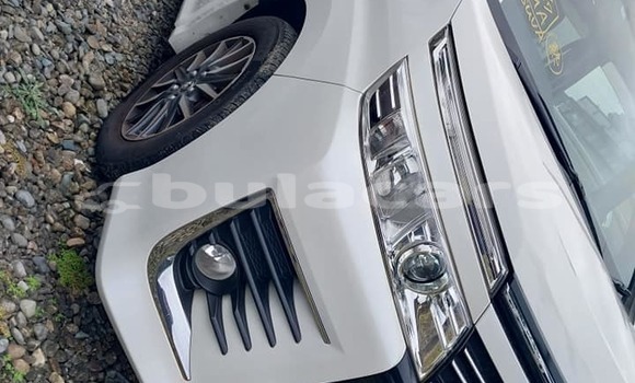 Buy Used Toyota Voxy White Car in Suva in Central