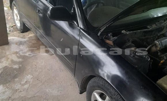 Buy Used Toyota Marino Black Car in Suva in Central