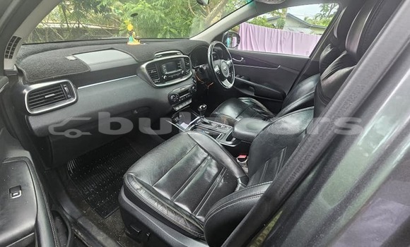 Buy Used Honda Insight Other Car in Deuba in Central Buy Used Honda Insight Other Car in Deuba in Central