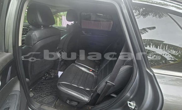 Buy Used Honda Insight Other Car in Deuba in Central Buy Used Honda Insight Other Car in Deuba in Central