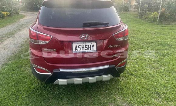 Acheter Occasion Voiture Hyundai Tucson Rouge à Labasa, Northern Acheter Occasion Voiture Hyundai Tucson Rouge à Labasa, Northern