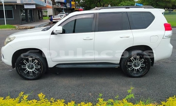 Buy Used Toyota Prado Other Car in Lautoka in Western Buy Used Toyota Prado Other Car in Lautoka in Western