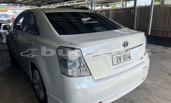 Buy Used Toyota Sai Other Car in Nadi in Western Buy Used Toyota Sai Other Car in Nadi in Western