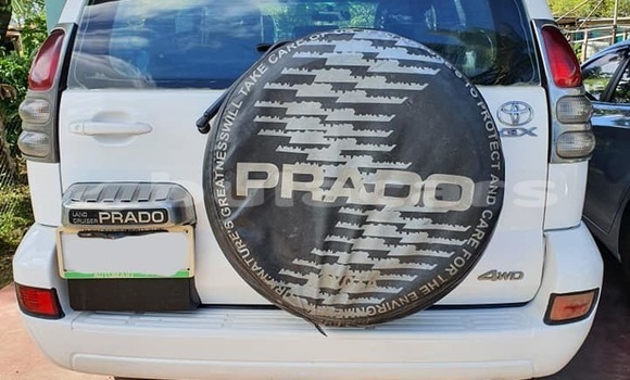 Buy Used Toyota Prado Other Car in Malevu in Western Buy Used Toyota Prado Other Car in Malevu in Western