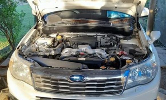 Buy Used Subaru Forrester Other Car in Barotu in Western