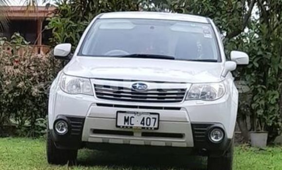 Buy Used Subaru Forrester Other Car in Barotu in Western Buy Used Subaru Forrester Other Car in Barotu in Western