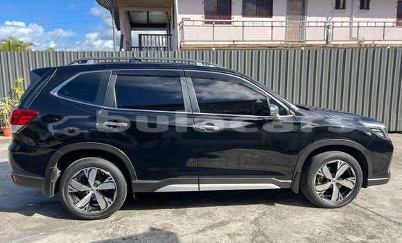 Buy Used Subaru Forester Other Car in Barotu in Western Buy Used Subaru Forester Other Car in Barotu in Western