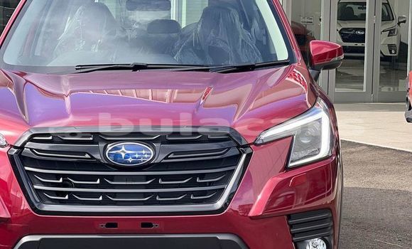 Acheter Occasion Voiture Subaru Forester Autre à Barotu, Western Acheter Occasion Voiture Subaru Forester Autre à Barotu, Western