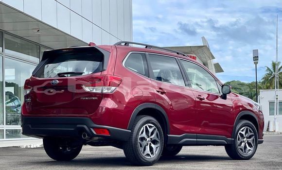 Acheter Occasion Voiture Subaru Forester Autre à Barotu, Western Acheter Occasion Voiture Subaru Forester Autre à Barotu, Western