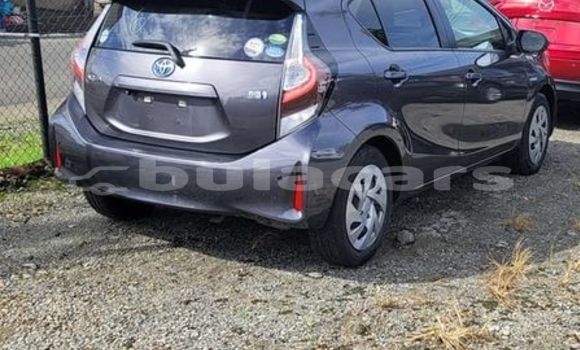 Buy Used Toyota Aqua Other Car in Korovou in Central Buy Used Toyota Aqua Other Car in Korovou in Central