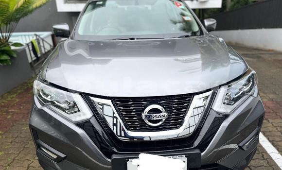 Buy Used Nissan X–Trail Grey Car in Suva in Central Buy Used Nissan X–Trail Grey Car in Suva in Central