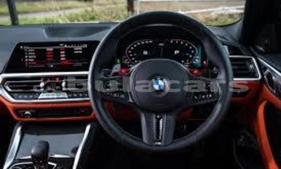 Buy Import BMW M4 Other Car in Suva in Central