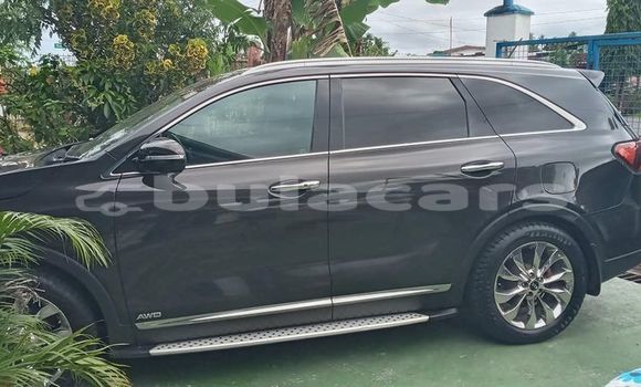Acheter Occasion Voiture Kia Sorento Noir à Suva, Central Acheter Occasion Voiture Kia Sorento Noir à Suva, Central