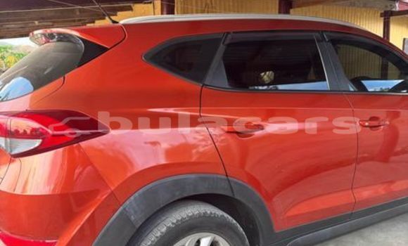 Buy Used Hyundai Tucson Other Car in Korokade in Northern Buy Used Hyundai Tucson Other Car in Korokade in Northern