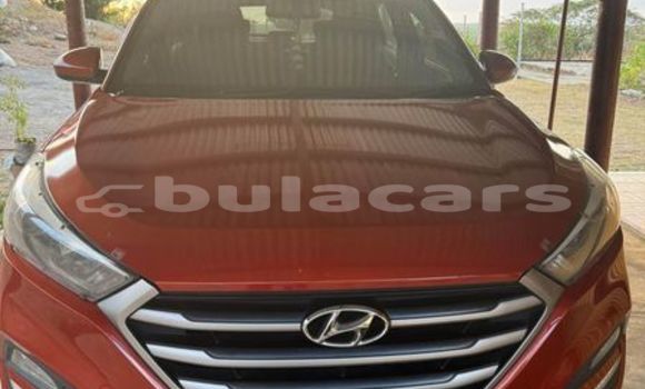 Buy Used Hyundai Tucson Other Car in Korokade in Northern Buy Used Hyundai Tucson Other Car in Korokade in Northern