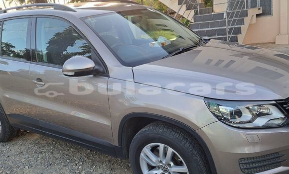 Buy Used Volkswagen Tiguan Brown Car in Nadi in Western Buy Used Volkswagen Tiguan Brown Car in Nadi in Western