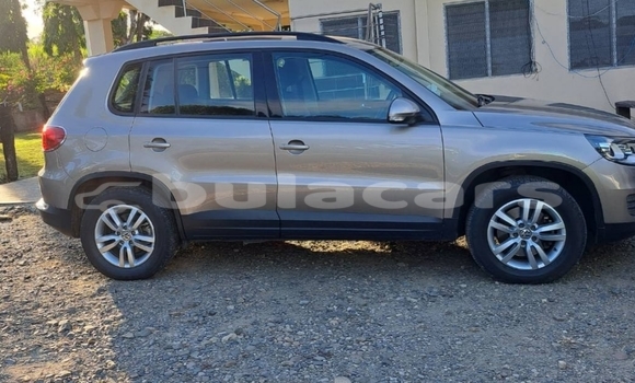 Buy Used Volkswagen Tiguan Brown Car in Nadi in Western Buy Used Volkswagen Tiguan Brown Car in Nadi in Western