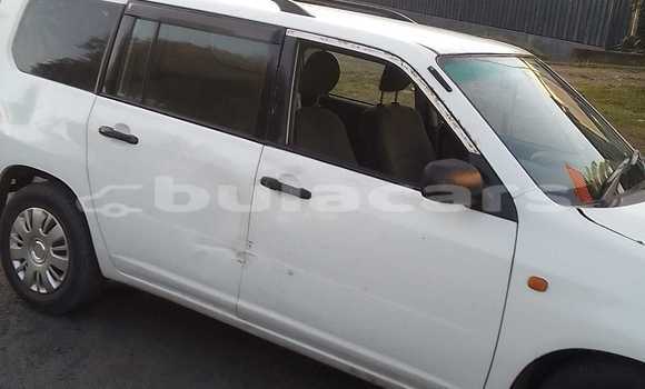 Buy Used Toyota Probox White Car in Korovou in Central Buy Used Toyota Probox White Car in Korovou in Central