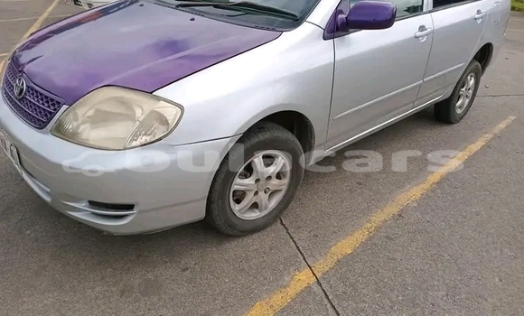 Buy Used Toyota Fielder Other Car in Korovou in Central Buy Used Toyota Fielder Other Car in Korovou in Central