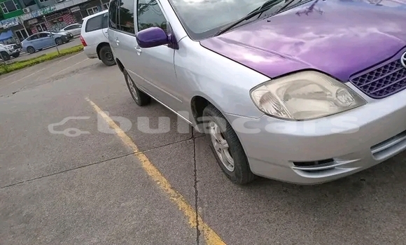 Buy Used Toyota Fielder Other Car in Korovou in Central Buy Used Toyota Fielder Other Car in Korovou in Central