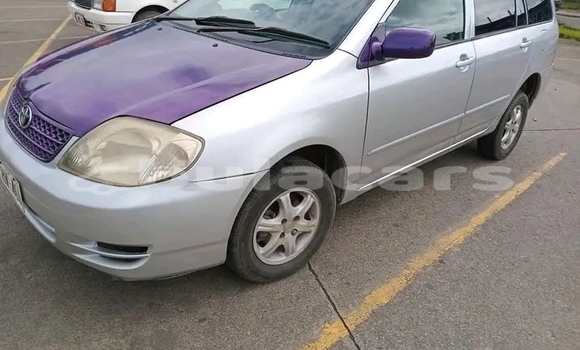Buy Used Toyota Fielder Other Car in Korovou in Central Buy Used Toyota Fielder Other Car in Korovou in Central