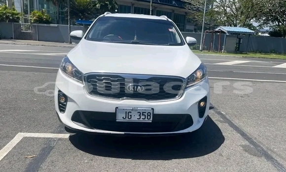 Buy Used Kia Sorento White Car in Komave in Western Buy Used Kia Sorento White Car in Komave in Western