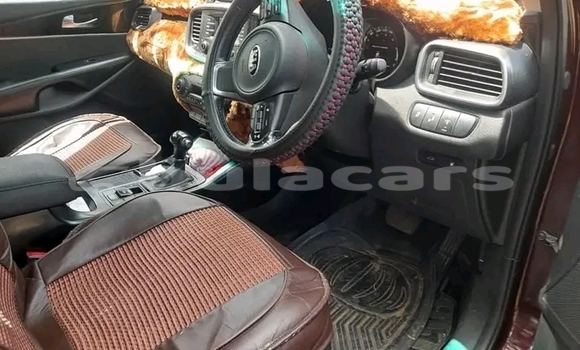 Buy Used Kia Sorento Red Car in Labasa in Northern Buy Used Kia Sorento Red Car in Labasa in Northern