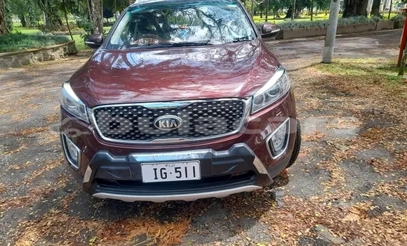 Buy Used Kia Sorento Red Car in Labasa in Northern Buy Used Kia Sorento Red Car in Labasa in Northern
