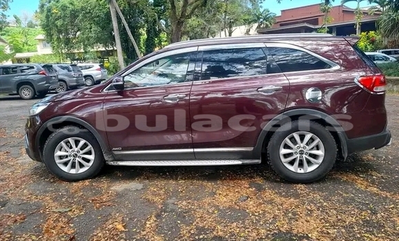 Buy Used Kia Sorento Red Car in Labasa in Northern Buy Used Kia Sorento Red Car in Labasa in Northern